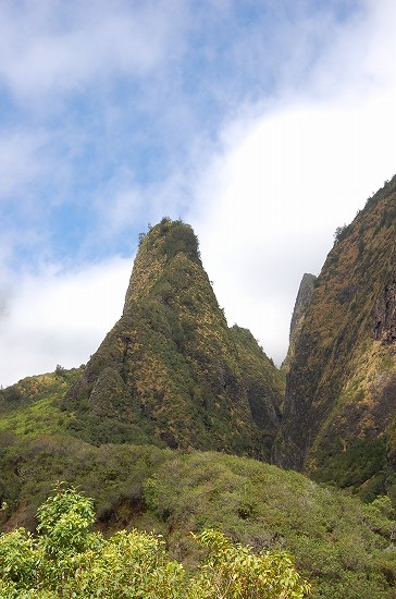 e0128367_1104588.jpg