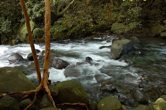 e0128367_1115663.jpg