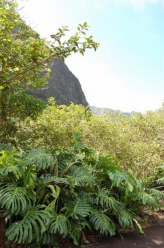 e0128367_111593.jpg