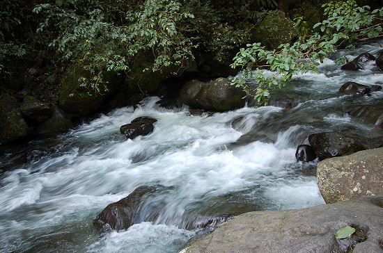 e0128367_1124458.jpg