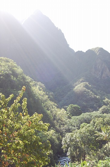 e0128367_113955.jpg