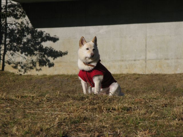 c0177668_2284641.jpg