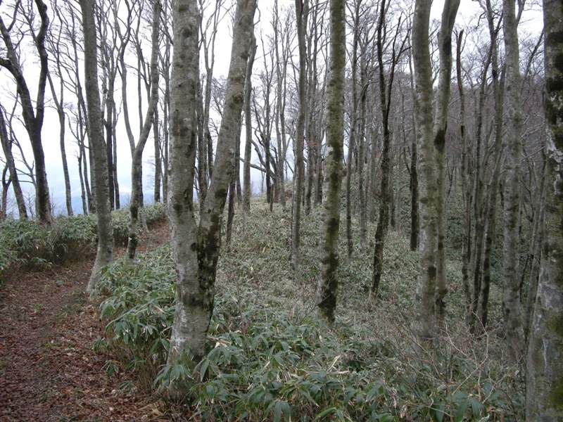 b0185573_895171.jpg