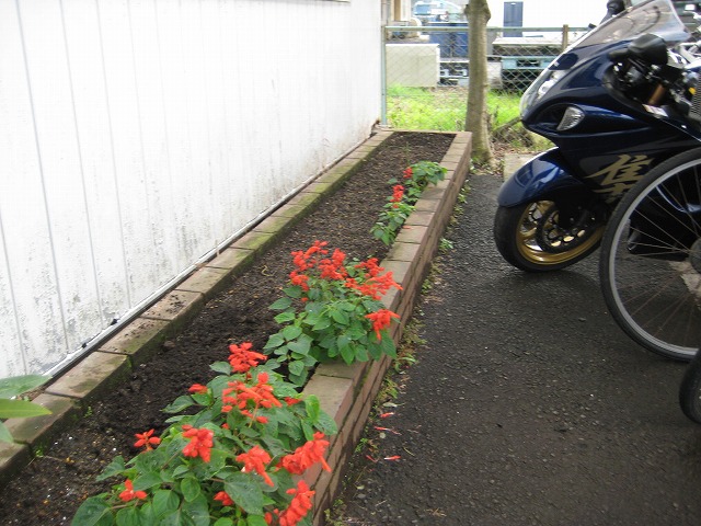 e0004173_1625346.jpg