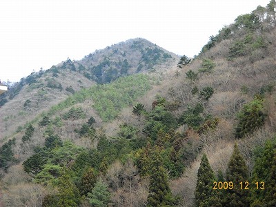 f0174373_9452472.jpg