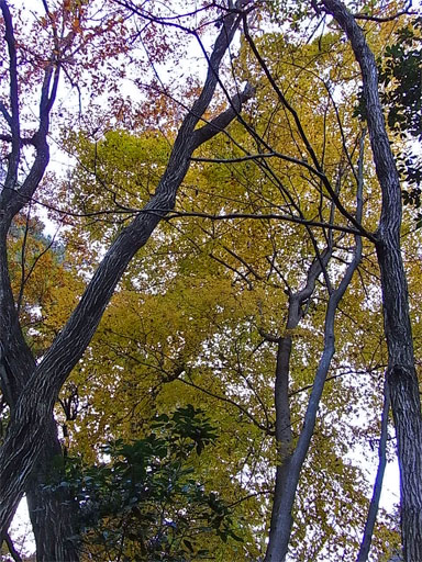 f0089079_2422484.jpg
