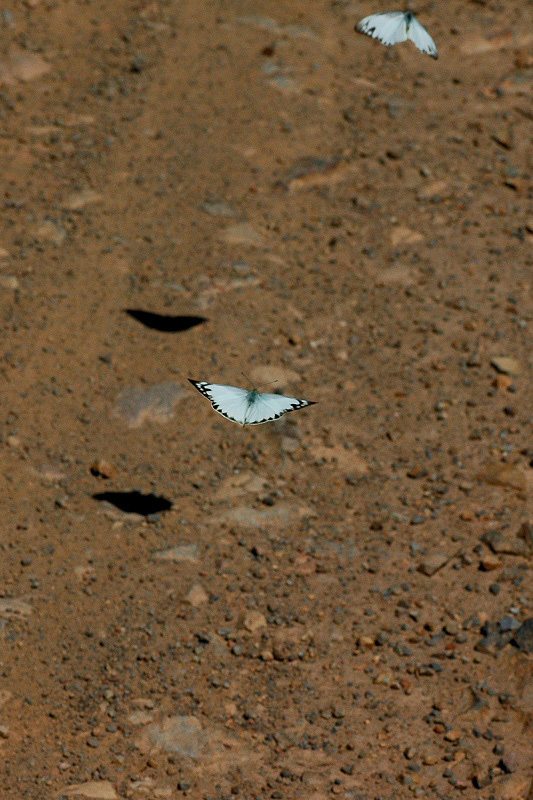 f0090680_044794.jpg