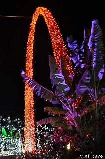 c0221784_17454460.jpg