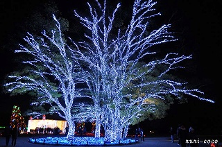 c0221784_17455384.jpg