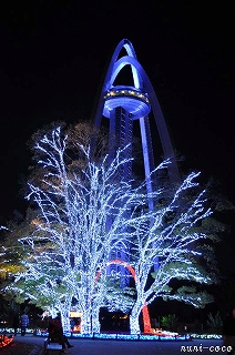 c0221784_1746060.jpg