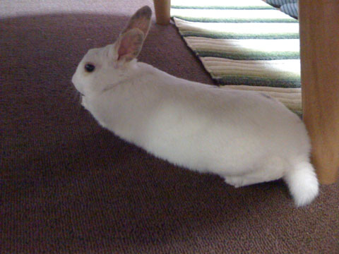 f0201191_137452.jpg