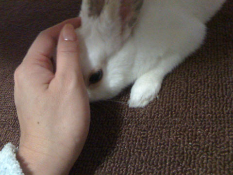 f0201191_1401994.jpg