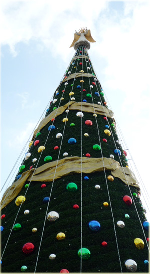 c0154095_12262322.jpg
