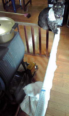 c0206596_22223113.jpg