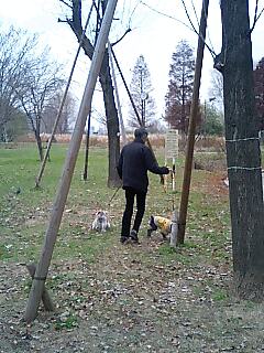 c0138198_15214978.jpg