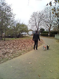 c0138198_1545583.jpg