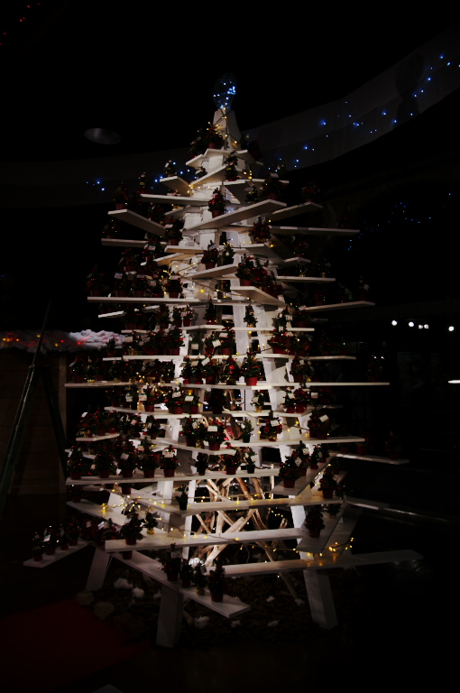 f0002701_7104421.jpg