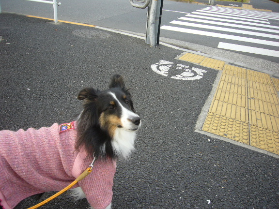e0130008_20211863.jpg