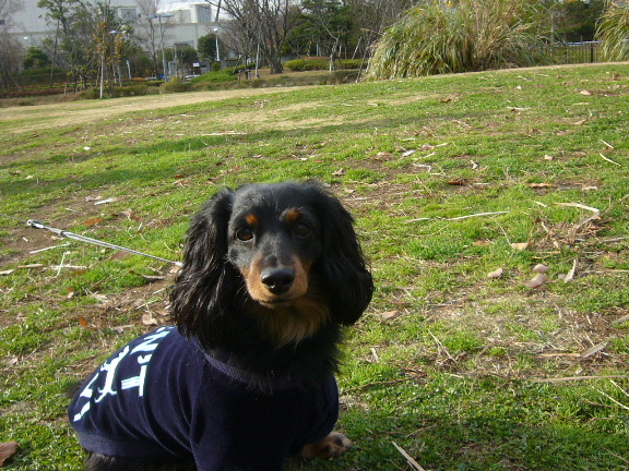 e0130008_20272444.jpg