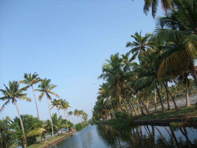 d0094310_2056055.jpg