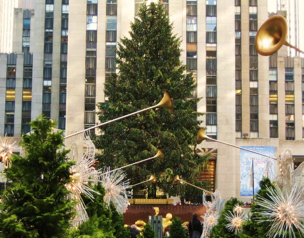 e0196912_8194746.jpg