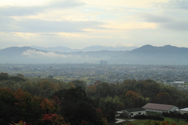 a0118913_2011167.jpg