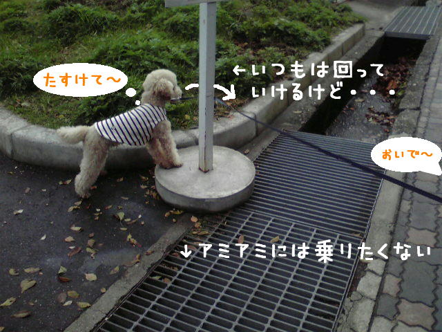 c0060920_2224420.jpg