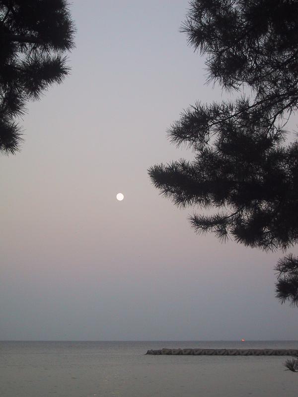 c0097620_10585094.jpg