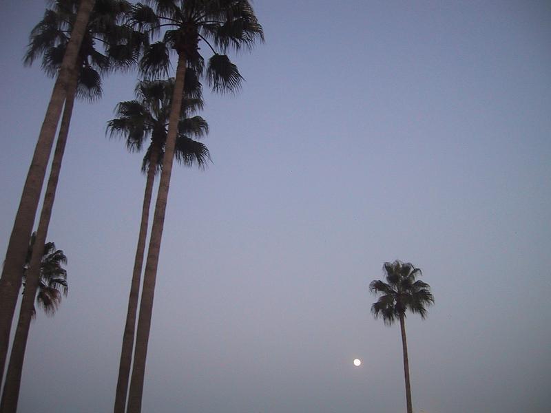 c0097620_1059631.jpg