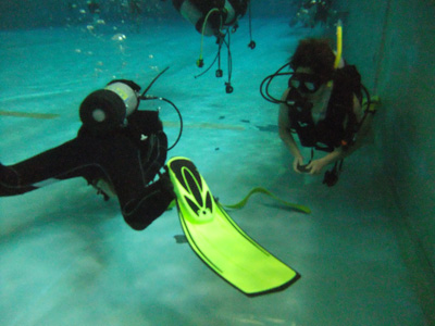 d0152629_0131438.jpg