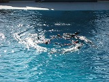 b0187737_021316.jpg