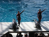 b0187737_02416.jpg