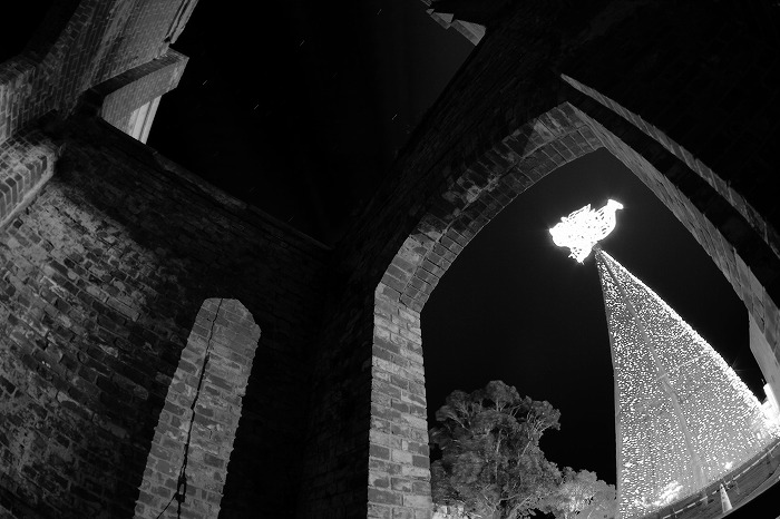 b0168041_2012747.jpg