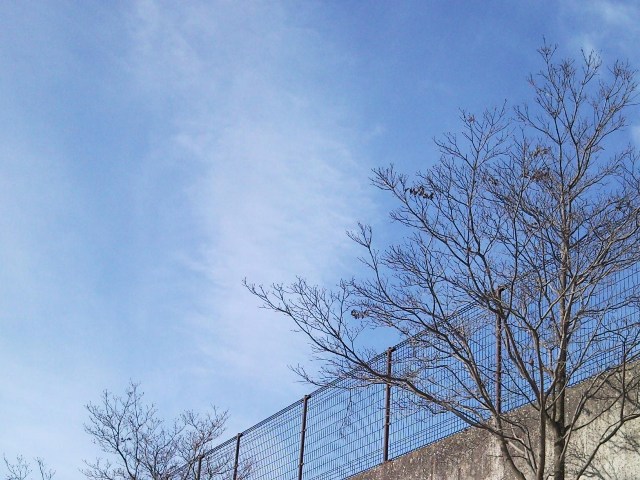 e0150843_1572685.jpg