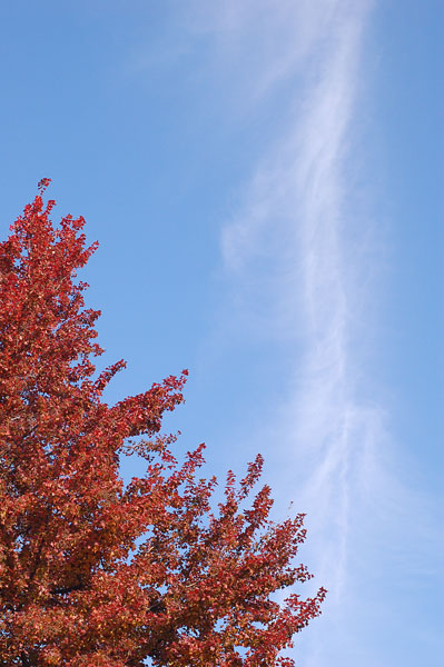 e0136745_18371766.jpg