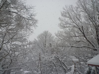 b0132950_2233460.jpg