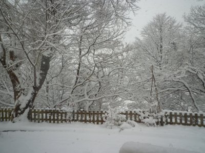 b0132950_2332343.jpg
