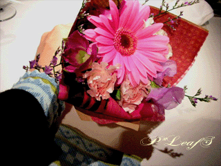 c0176651_1738596.gif