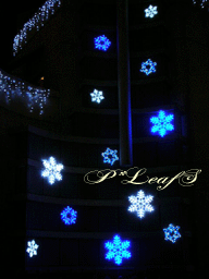 c0176651_1740577.gif