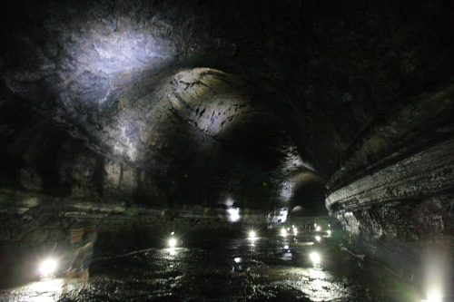 d0021952_22204985.jpg