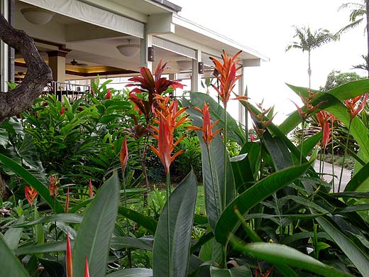 e0050753_20452832.jpg