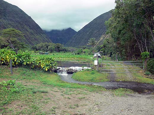 e0050753_20472870.jpg