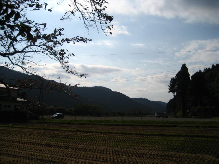 e0121753_239358.jpg