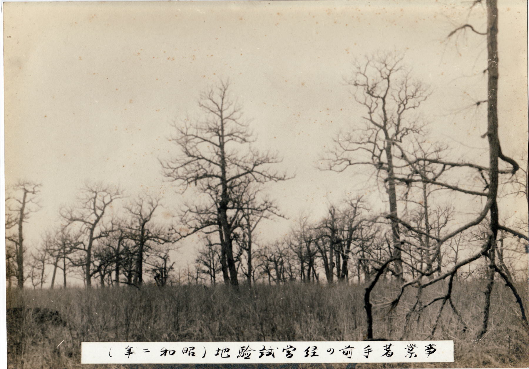 f0001254_14191757.jpg