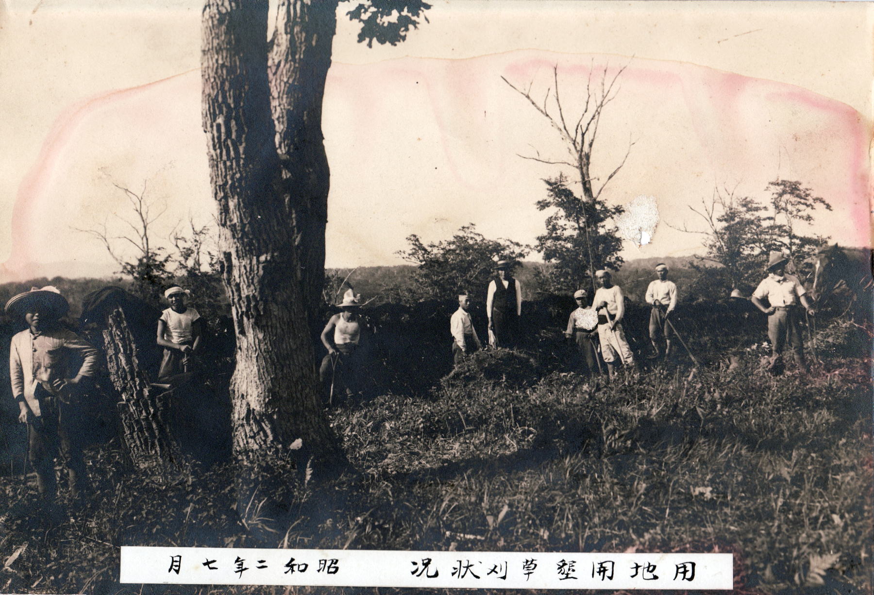 f0001254_14193070.jpg