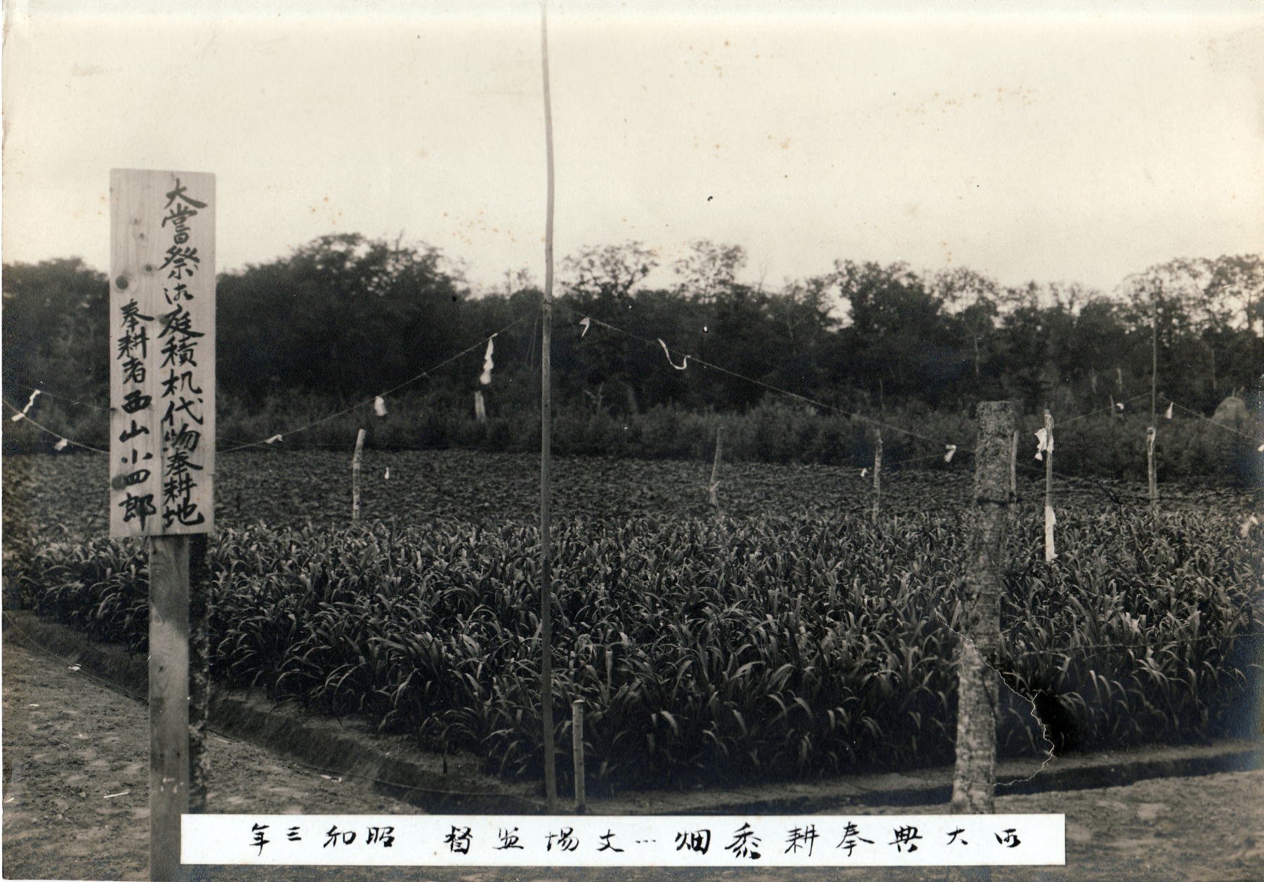 f0001254_14213917.jpg