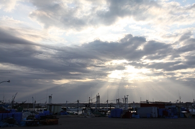 f0021558_6331783.jpg