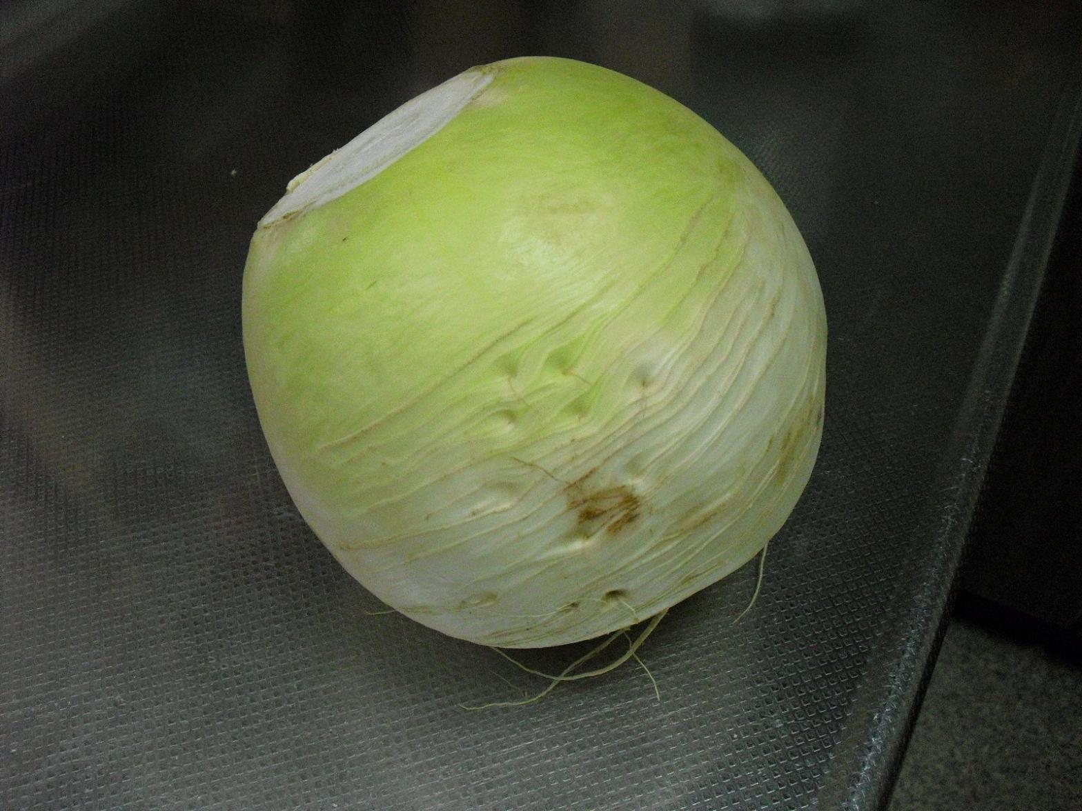c0213470_957935.jpg