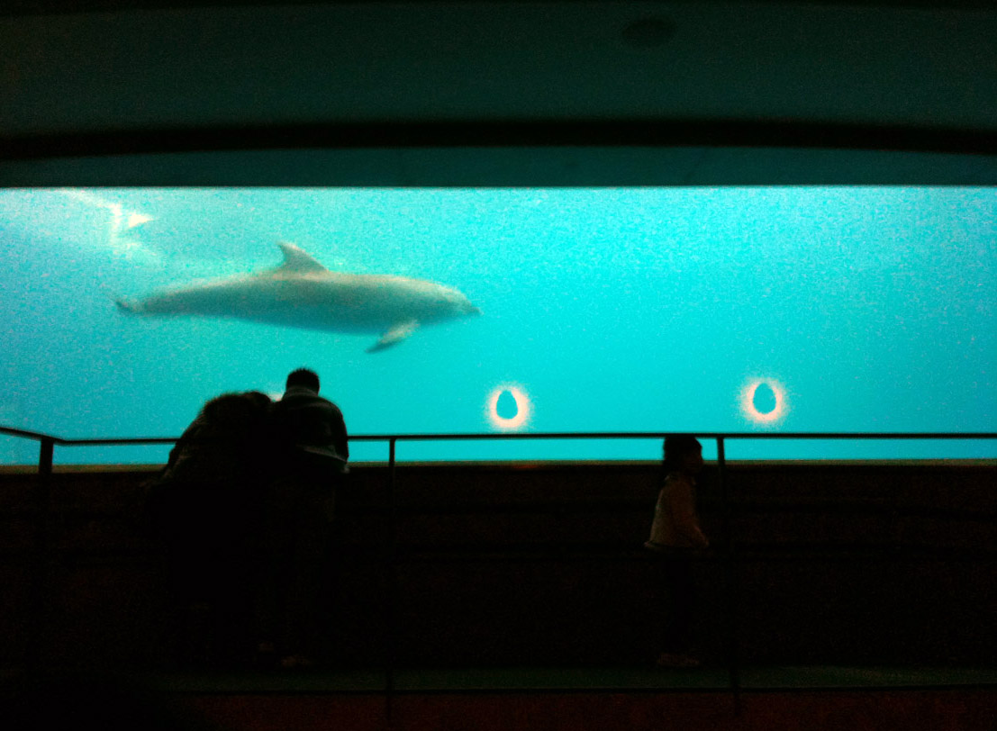d0081370_11543687.jpg