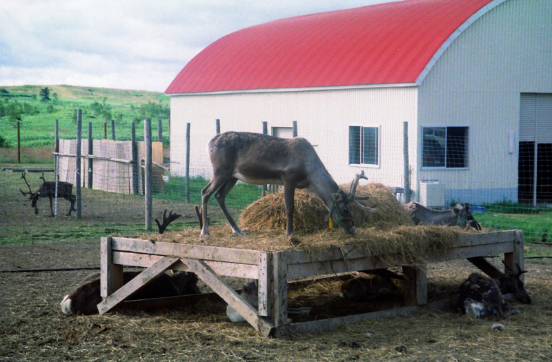 e0100772_22143477.jpg